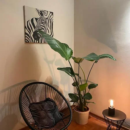 Casa Della Baia With A Beautiful View Feriehus Varazze